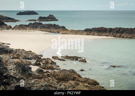 Côte Rocheuse scène, Anglesey, Pays de Galles UK Banque D'Images