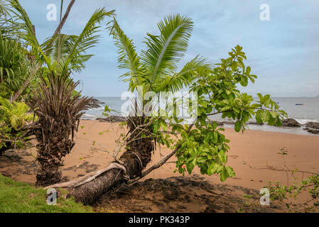 Plage, Parc national de Corcovado, péninsule d'Osa, au Costa Rica Banque D'Images