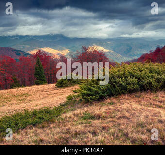 Nuageux matin d'automne dans les montagnes. Vallée de montagne des Carpates, Brailka, l'Ukraine, l'Europe. Banque D'Images