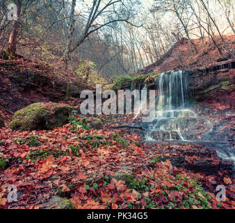 Paysage cascade tranquille au milieu de forêt d'automne. Banque D'Images