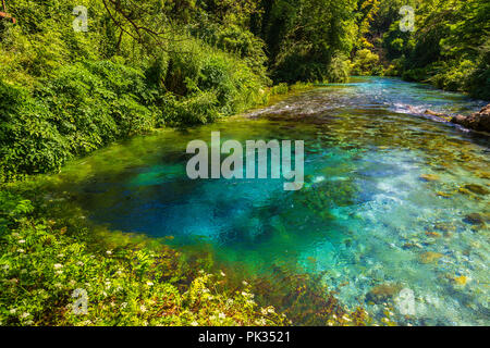 Printemps Turquoise Blue Eye - Syri i Kalter, près d'une ville de Muzine, Albanie. Le ressort est très puissant, froid et profond et est une source d'une rivière Bistr Banque D'Images