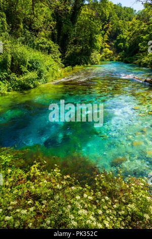 Printemps Turquoise Blue Eye - Syri i Kalter, près d'une ville de Muzine, Albanie. Le ressort est très puissant, froid et profond et est une source d'une rivière Bistr Banque D'Images