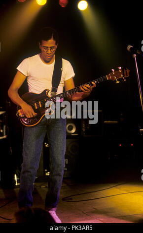 Animal Logic (Stanley Clarke) sur 29.05.1989 à München / Munich. Dans le monde d'utilisation | Banque D'Images