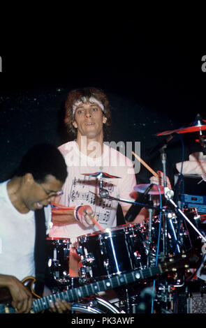 Animal Logic (l-r) : Stanley Clarke, Stewart Copeland sur 29.05.1989 à München / Munich. Dans le monde d'utilisation | Banque D'Images