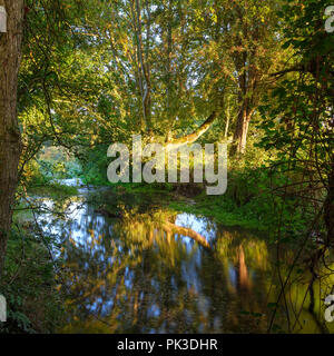 Lever du soleil d'automne sur la rivière Itchen - un célèbre lit chalk stream réputé pour la pêche à la mouche - entre Ovington et Abbas Itchen dans le Hampshire, au Royaume-Uni. Banque D'Images