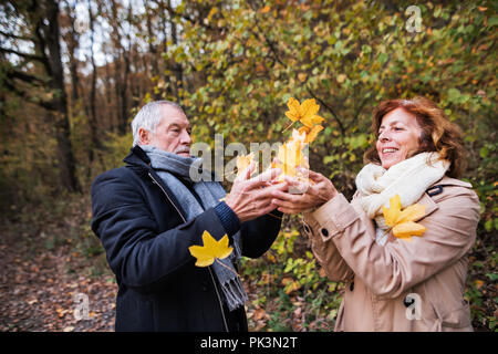 Couple en promenade dans une forêt, dans une nature d'automne, jeter les feuilles. Banque D'Images