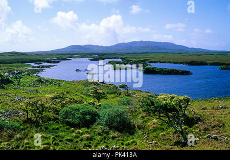 Couverture de Roundstone Bog, Connemara, comté de Galway, Irlande, Europe. Banque D'Images