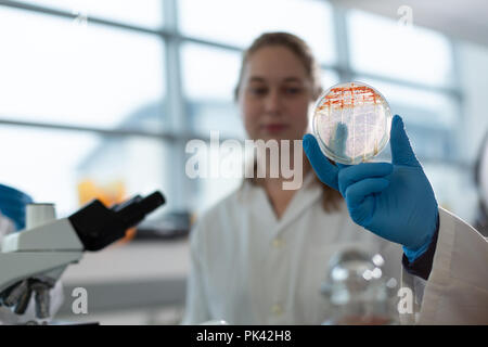 Les scientifiques de discuter sur l'équipement de laboratoire Banque D'Images