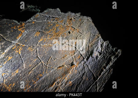 L'art rupestre préhistorique de la vallée de COA, Parc archéologique ( Parque Arqueologico do Vale do Côa), site du patrimoine mondial de l'UNESCO. Vila Nova de Foz Côa, D Alto Banque D'Images