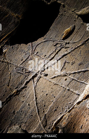 L'art rupestre préhistorique de la vallée de COA, Parc archéologique ( Parque Arqueologico do Vale do Côa), site du patrimoine mondial de l'UNESCO. Vila Nova de Foz Côa, D Alto Banque D'Images