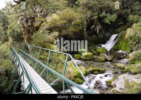 Routeburn Track vues spectaculaires sur le lac et les montagnes Banque D'Images