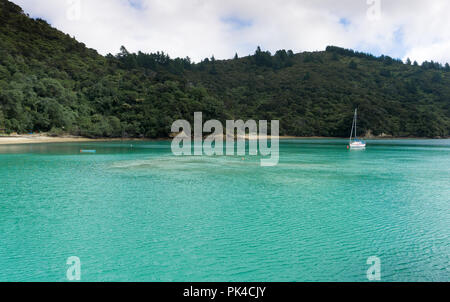 Queen Charlotte Track - Sons, Yacht, Eaux turquoise et forêt Banque D'Images