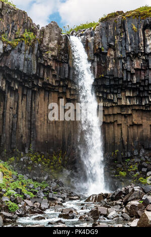 Cascade de Svartifoss - Islande Skaftafell Banque D'Images