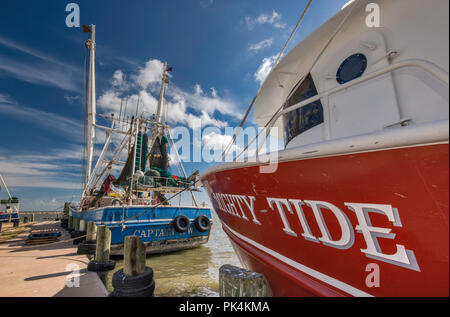 Shrimpboats au port de Palacios, la Côte du Golfe, Texas, États-Unis Banque D'Images