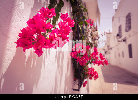 Fleurs suspendues au fenêtre sur une rue étroite dans village blanc d'Altea, Alicante, Espagne Banque D'Images