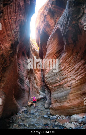 Woman hiking in Kanarra Creek Canyon, Kanarraville, Fer à Repasser County, Utah, USA. Banque D'Images