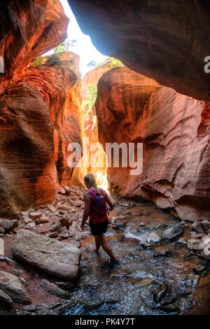 Woman hiking in Kanarra Creek Canyon, Kanarraville, Fer à Repasser County, Utah, USA. Banque D'Images