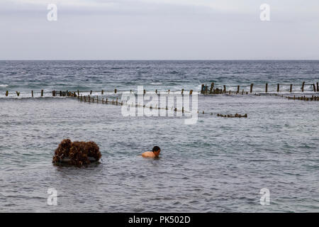 SUANA, INDONÉSIE - 31 mai : une femme non identifiée s'empare des algues sur le plancher océanique à une ferme d'algues de Suana, l'Indonésie le 31 mai 2017. Banque D'Images