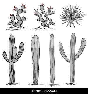 Groupe de cactus. Cactus, d'agaves bleus, et saguaro. Hand drawn vector cactus. Palette de gris et rose Illustration de Vecteur