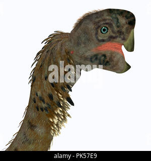 - Tête de dinosaure femelle Citipati Citipati était un dinosaure carnivore qui vivait en Mongolie au Crétacé. Banque D'Images