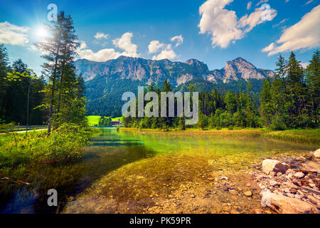 Matin d'été ensoleillé sur le lac Hintersee dans les Alpes autrichiennes. Banque D'Images