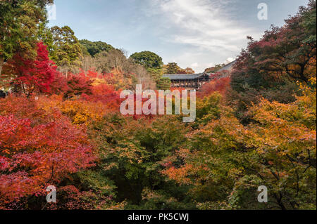 Tofuku-ji, Kyoto, Japon. Les foules se rassemblent sur le célèbre pont Tsuten-kyo à l'automne pour voir l'éclat des couleurs des érables dans la vallée ci-dessous Banque D'Images