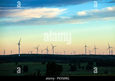 Dans la soirée, la silhouette des éoliennes Banque D'Images