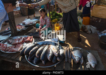 Un client paye dans un peuplement de poissons d'un marché. Bagan, Myanmar (Birmanie). Banque D'Images