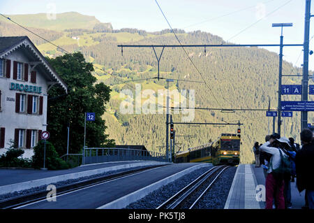 Autour de la Suisse - Grindelwald, premier train du matin ! Banque D'Images