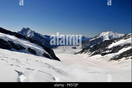 Autour de la Suisse - Grand Glacier d'Altesch Banque D'Images