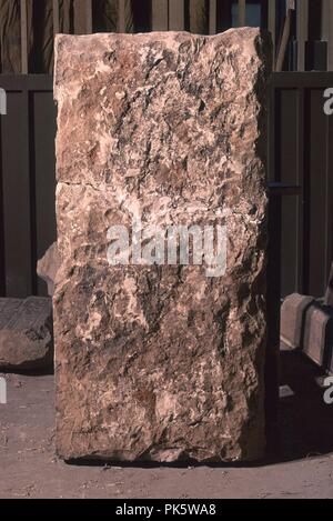 Ceux de l'ARA. Lieu : Musée égyptien. KAIRO. L'Égypte. Banque D'Images