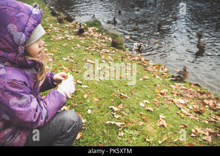 Petite fille rss canards sur un étang dans le parc public de la côte d'automne, close-up photo Banque D'Images