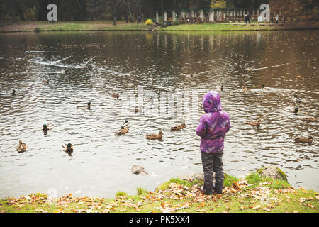 Petite fille rss cascades sur un petit lac coast in autumn park Banque D'Images