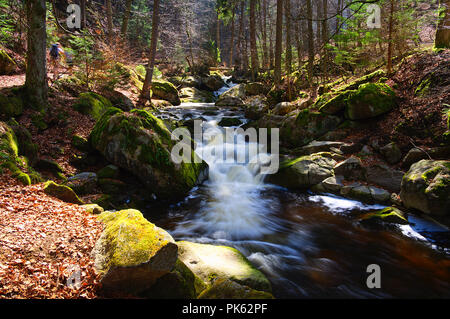 Ilse, Ilsetal, Cascade, Untere Ilsefälle, Harz Banque D'Images