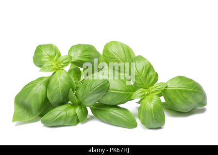 Fresh basil isolated on white Banque D'Images