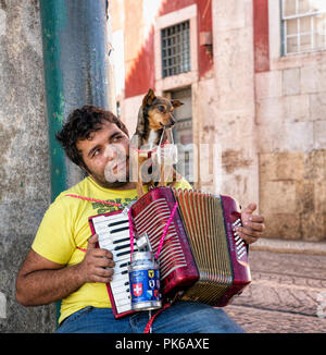 27 octobre 2017 - Lisboa, Portugal. Homme roma gypsy musicien ambulant jouant de la musique pour les touristes à l'accordéon dans la vieille ville de Lisbonne avec mignon d'animaux Banque D'Images