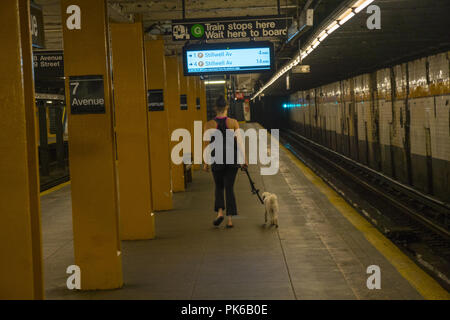 Femme avec son chien sur la plate-forme de train de métro à 7e Avenue à Park Slope, Brooklyn, New York. Banque D'Images