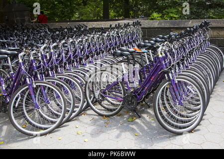 Vélos à louer à Columbus Circle, au bord de Central Park à New York. Banque D'Images