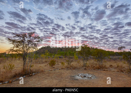 Maquereaux ciel au lever du soleil à Chillagoe, le nord du Queensland, Queensland, Australie Banque D'Images