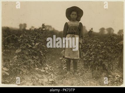 Un Marshall Bertha berry picker sur Jenkins ferme, Rock Creek, près de Baltimore, Md depuis 2 étés. Picks sur 10 boîtes par jour. (2 cents d'une boîte). 7 juillet 1909, photo. Banque D'Images