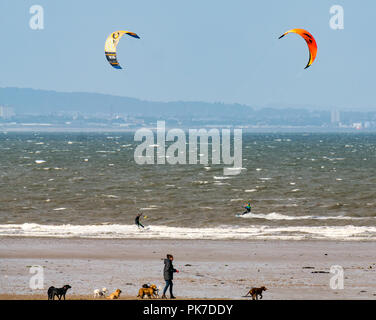 Longniddry Bents, East Lothian, Scotland, UK, 11 septembre 2018. Météo France : 40 mph winds sur une journée ensoleillée de créer de bonnes conditions de kite surfeurs colorés dans le Firth of Forth. Un chien Walker sur la plage avec les chiens Banque D'Images