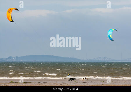 Longniddry Bents, East Lothian, Scotland, UK, 11 septembre 2018. Météo France : 40 mph winds sur une journée ensoleillée de créer de bonnes conditions de kite surfeurs colorés dans le Firth of Forth deux chiens courent le long de la plage avec le Forth bridges dans la distance Banque D'Images