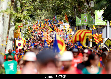 Barcelone, Espagne - 11 SEPTEMBRE : des milliers de personnes ont pris les principales avenues de Barcelone avec les drapeaux de l'indépendance à pleurer pour la liberté des prisonniers politiques et de demander l'indépendance de la Catalogne Espagne, la démonstration a été effectuée au cours de la célébration de la fête nationale de la Catalogne le 11 septembre 2018 à Barcelone, Espagne. Photo par Elkin Cabarcas / Alamy Live News Banque D'Images