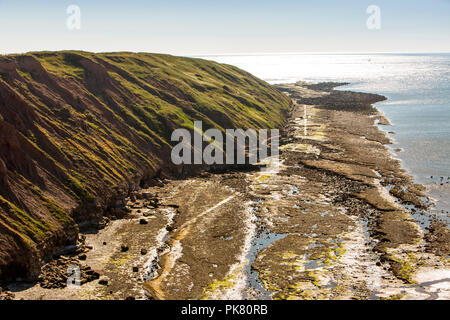 Royaume-uni, Angleterre, dans le Yorkshire, Filey, Brigg, promontoire rocheux en mer du Nord Banque D'Images