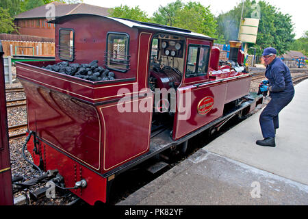 La jauge de 15 pouces locomotive vapeur 'Mark Timothy' à Hoveton & Wroxham station sur la bure Valley Railway à Norfolk, UK Banque D'Images