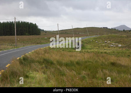 Un voyage en Irlande a montré au large de la campagne avec toutes les nuances de vert. Banque D'Images