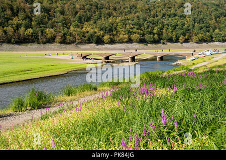 Aseler vieux pont, le lac Edersee à marée basse, Hesse, Germany, Europe Banque D'Images