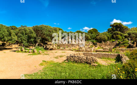 Ruines de Tipasa, un roman colonia en Algérie, l'Afrique du Nord Banque D'Images
