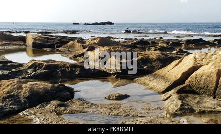 Plages et falaises de l'île de Tabarca en été à Alicante, Espagne Banque D'Images