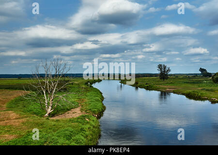 Rivière Notec et paysage rural en été en Pologne Banque D'Images